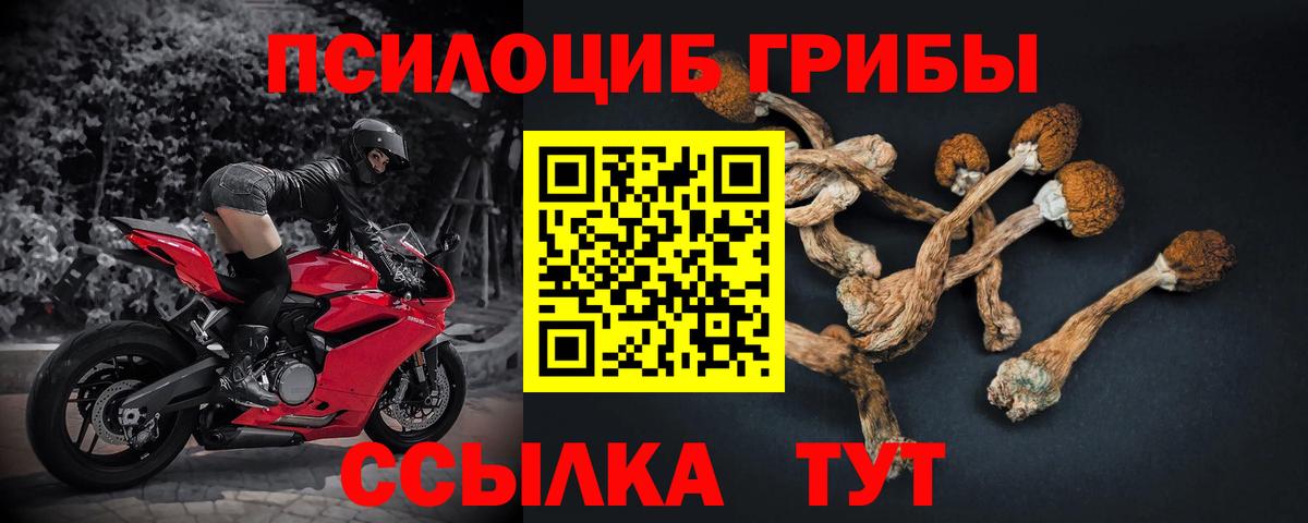 Галлюциногенные грибы мицелий Гулькевичи