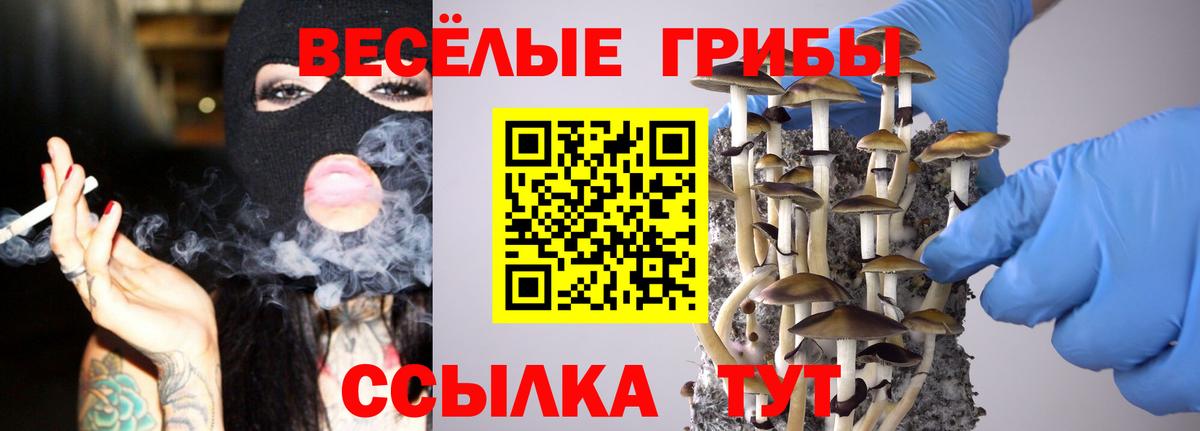 купить закладку  Псилоцибиновые грибы MAGIC MUSHROOMS  Вход с VPN  Гулькевичи 